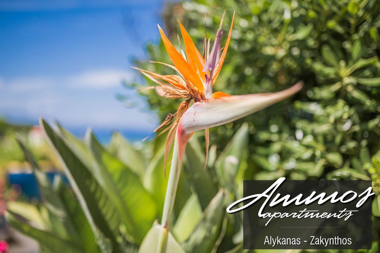 Ammos Apartments อลิกานาส ภายนอก รูปภาพ
